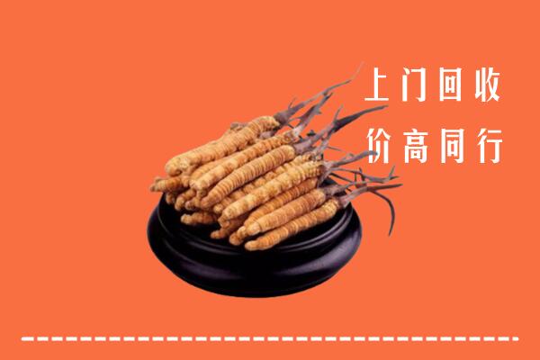 附近收购：乌鲁木齐冬虫夏草回收多少钱每克